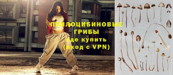 дживик Алзамай