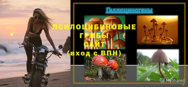 МДПВ Абаза