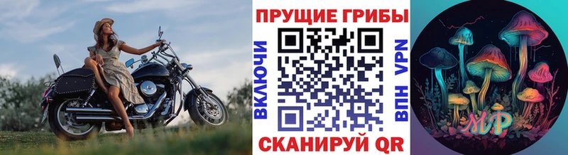 мега ТОР  Одинцово  Галлюциногенные грибы MAGIC MUSHROOMS 