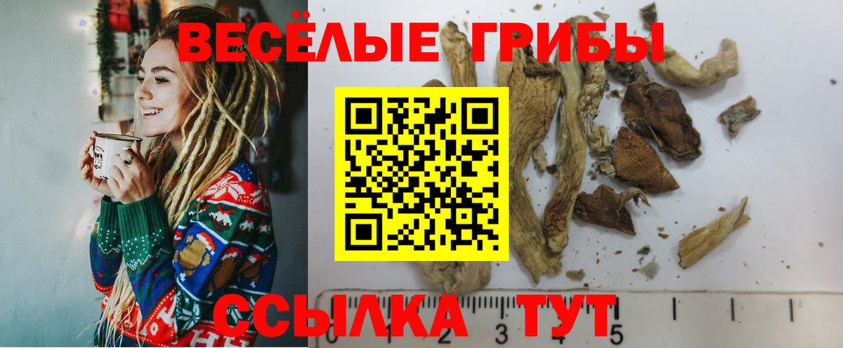 Галлюциногенные грибы Magic Shrooms Одинцово