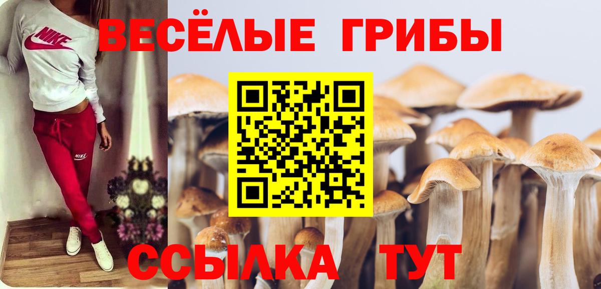 Одинцово  наркота  Вход с VPN  Галлюциногенные грибы GOLDEN TEACHER 
